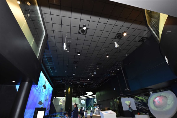 Halcyon™ Black Acoustical Ceiling